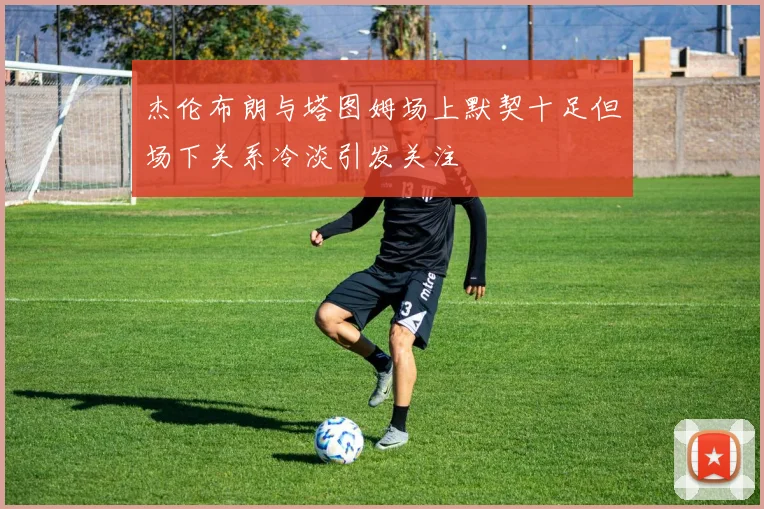 杰伦布朗与塔图姆场上默契十足但场下关系冷淡引发关注